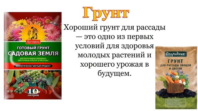 Экологический проект "Цветочное чудо" смотреть онлайн