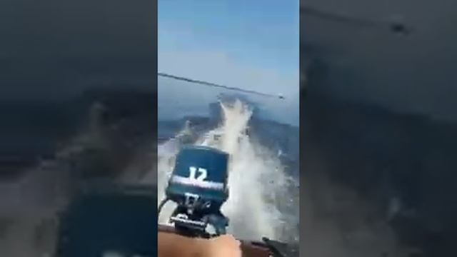 Отзыв о лодке из ПНД от клиента смотреть онлайн