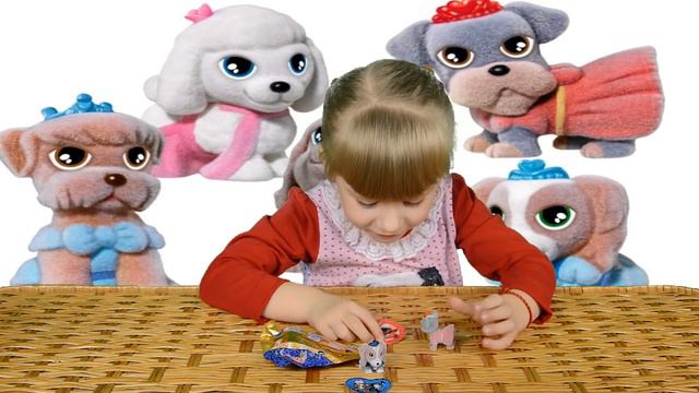 Пакетики с сюрпризами Чи Чи Лав Bag with a surprise Do Is Love смотреть онлайн