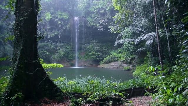 The Journey - Inspirational Music / Orchestral Background Music / Journey Music смотреть онлайн