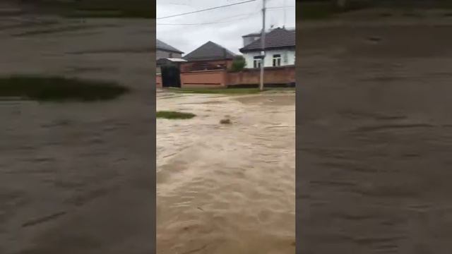 ⛈Режим ЧС ввели во Владикавказе после сильного дождя смотреть онлайн