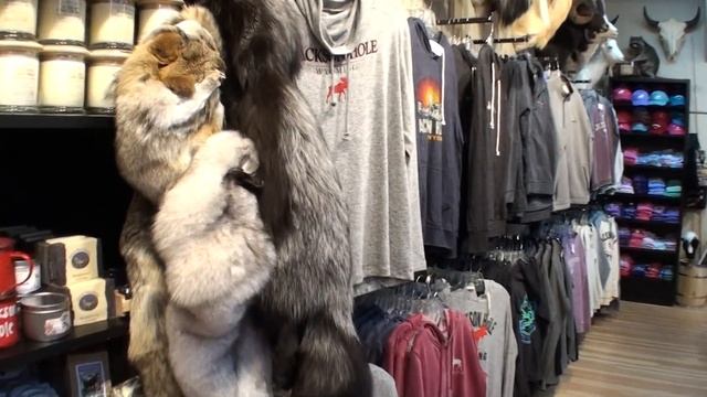 Downtown Tour - Jackson Hole Wyoming