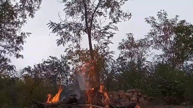 Аудиожурнал голосовых сообщений нашей группы в Ватсап с 21 по 22.06.2023 смотреть онлайн