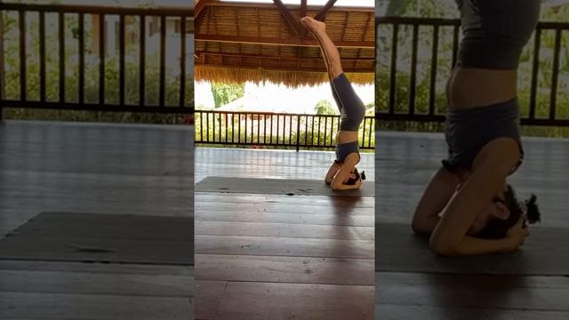 Йога 18 декабря 2021 смотреть онлайн