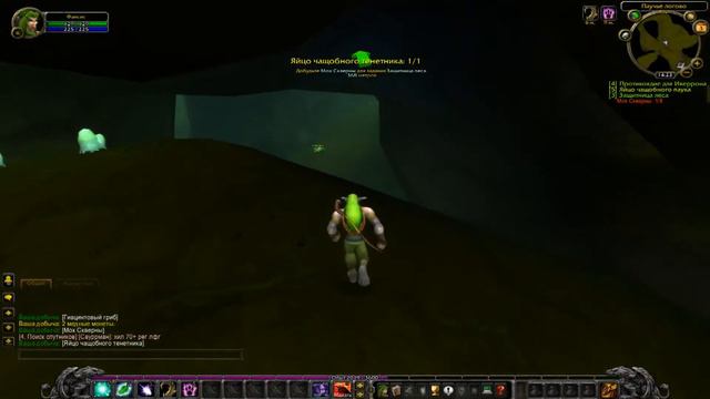 Начало игры в WoW Wraith the Lich King ( Ночной Эльф + Друид ) смотреть онлайн