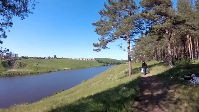 Воскресное утро. Лес. Всякие истории по дороге смотреть онлайн