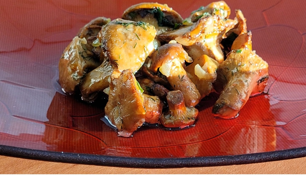 Одинокий Странник