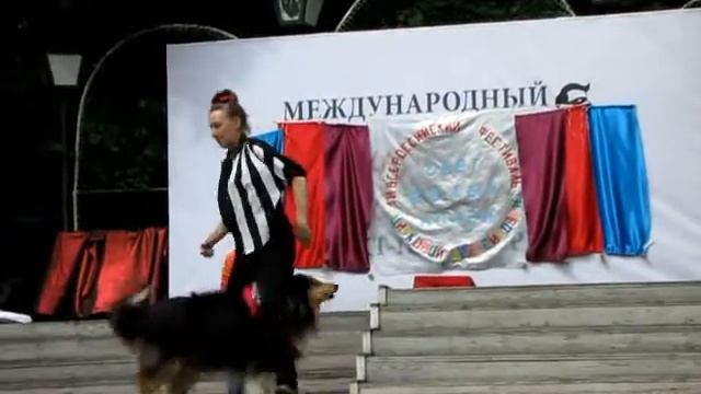 Никитина Ирина и колли Олвистар Вивид Фрэш ( Айсик) смотреть онлайн