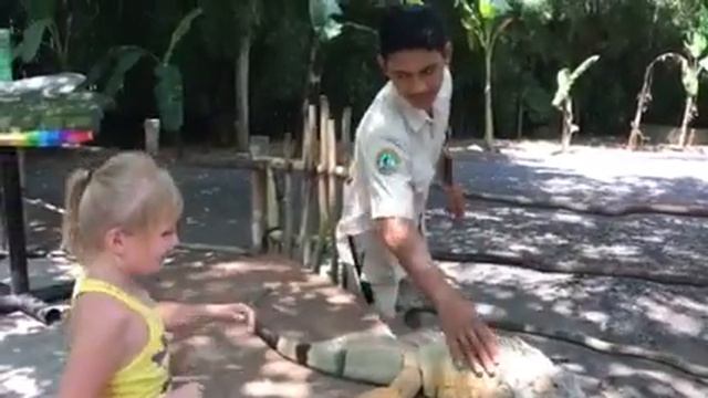 Огромная игуана в Сафари-парке на Бали смотреть онлайн