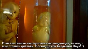 16+ Коллекция уродцев Петра I (Нифедыч в Кунсткамере)