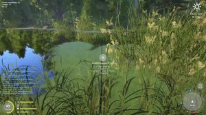 Русская рыбалка 4 Угорь Налим Старый острог