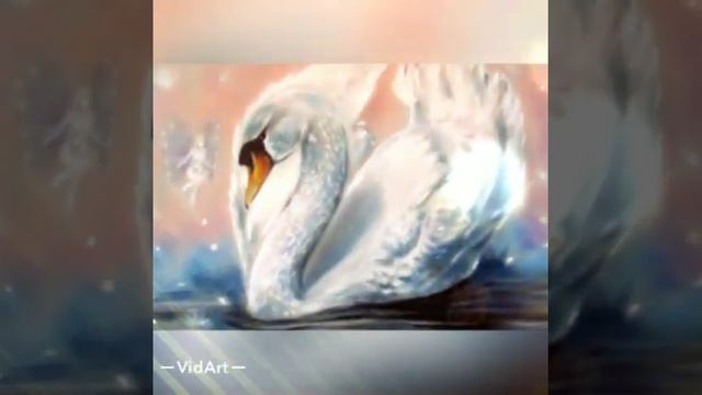 Димаш. Любовь уставших лебедей. Кавер. смотреть онлайн