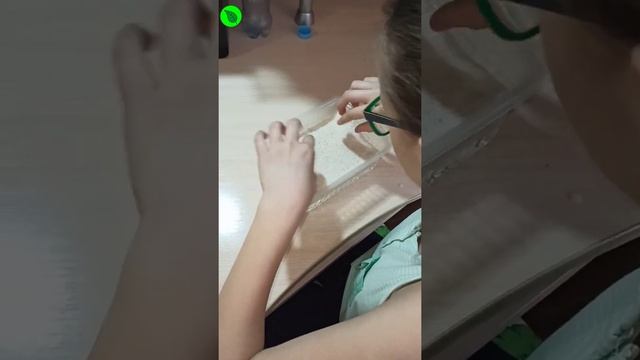 Выращивание микрозелени гречки зелёной в домашних условиях. смотреть онлайн