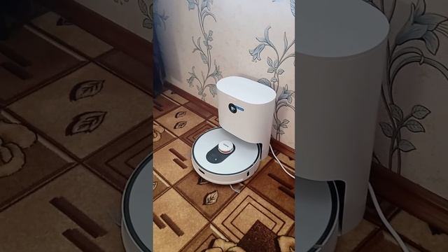 Борзый робот пылесос смотреть онлайн