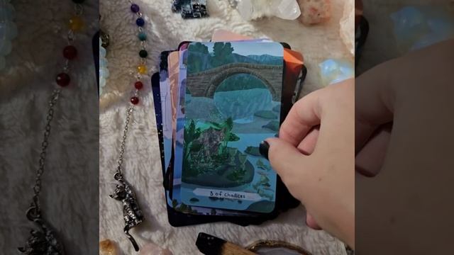 Cat Aura Tarot deck: Prototype flipthrough! смотреть онлайн
