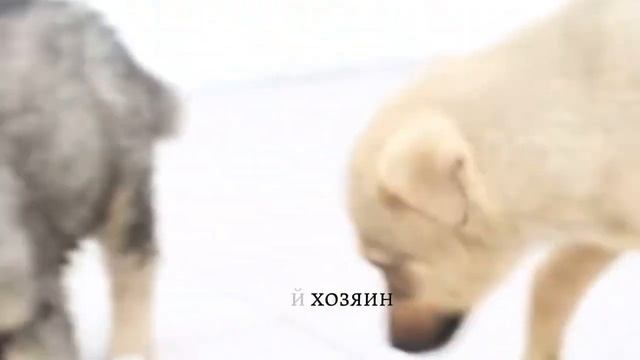 Марафон «Лучше добрым на свете быть» смотреть онлайн