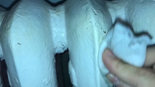 Лимонная ТРЯПКА -пыли в доме Не будет! Волшебное СРЕДСТВО за КОПЕЙКИ смотреть онлайн