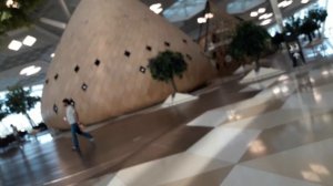 МЕЖДУНАРОДНЫЙ АЭРОПОРТ ГЕЙДАРА АЛИЕВА