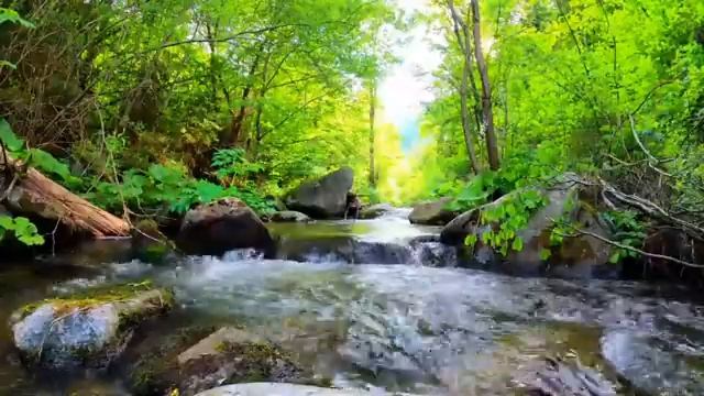 Расслабляющий лес ручей.Успокаивающий природа звуки 1 часов белый шум.Soothing Nature.