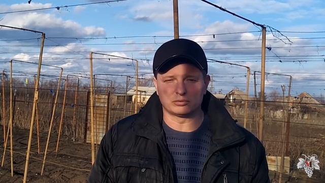 Недостатки привитых саженцев винограда. Дополнение и уточнение смотреть онлайн