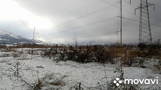 Ловля Щеглов! Catching goldfinches! 20.12.2020 смотреть онлайн