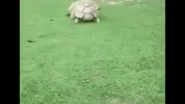 Есть друзья а для них у друзей нет выходных!! смотреть онлайн