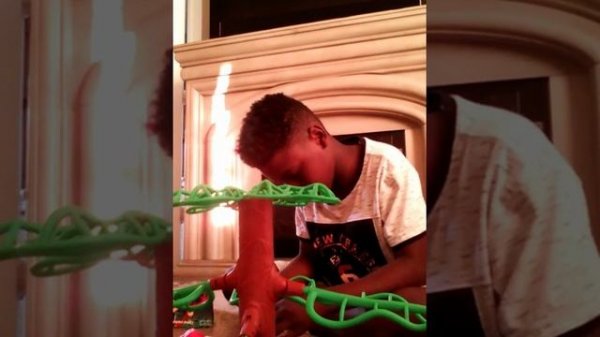 Flipping frogs game # flip the frogs into the tree before time runs out !