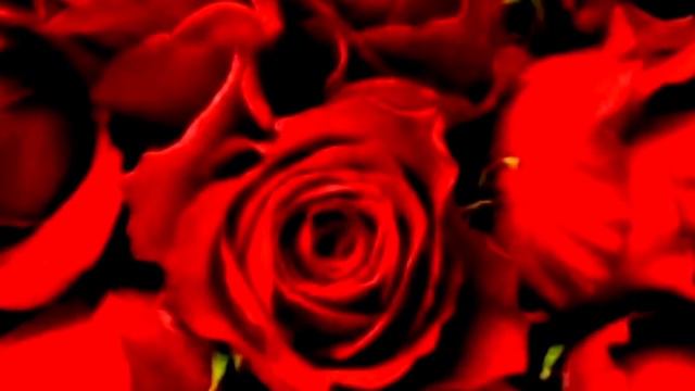 NATIONAL FLOWERS OF ALL COUNTRIES PART2 (LETTER C-F) #national flowers meaning and symbolism смотреть онлайн
