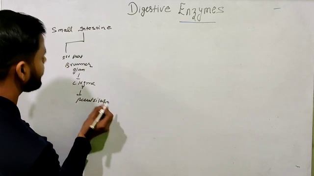 GIT SYSTEM PART-06 #DIGESTIVE ENZYMES#NORCET#NEET #NURSING #anatomy and physiology#Bile juices #HCL смотреть онлайн