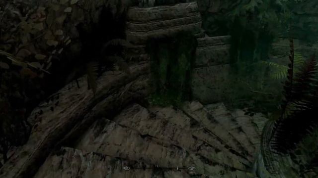 Antennaria---by Arafura