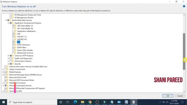 How To Install IIS on Windows 10 (2020)| Easy Steps смотреть онлайн