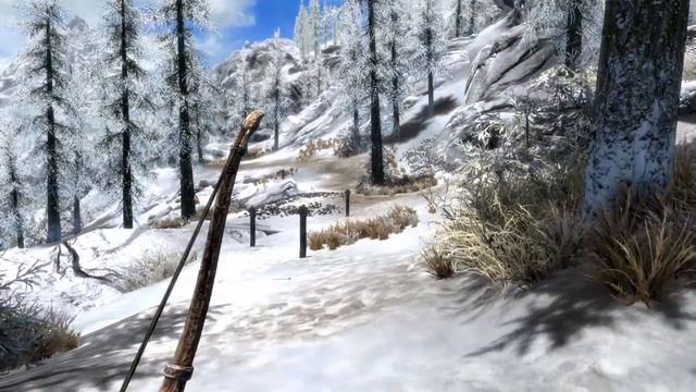 Angi's Training no Crosshair смотреть онлайн