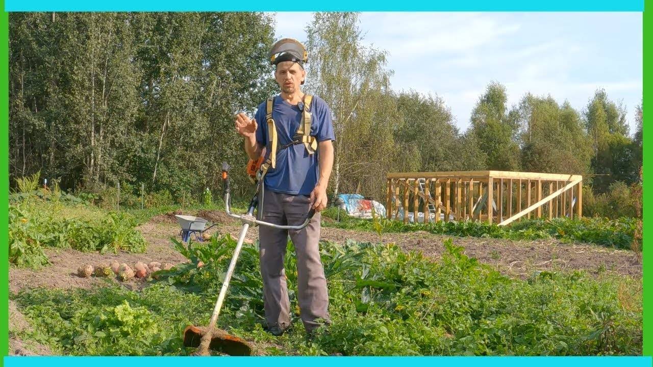 Первые осенние новости хозяйства в деревне! смотреть онлайн