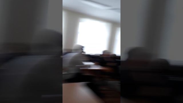 Декоративные мышки. Доклад. смотреть онлайн