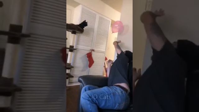 Ржака про животных. смотреть онлайн