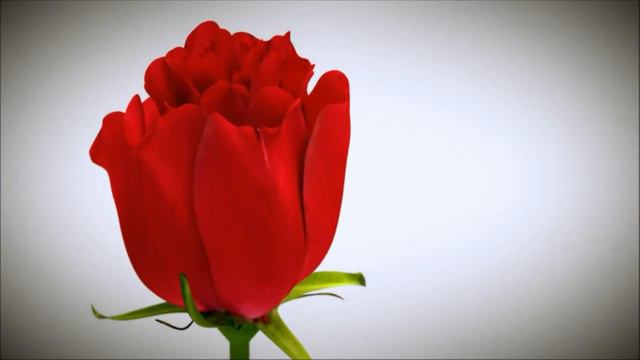 Good Ringtones for your smartphone or cellphone смотреть онлайн