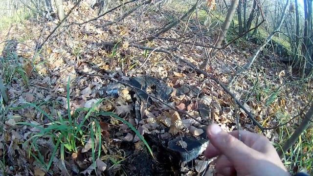 Поход за осенними опятами.2019. смотреть онлайн