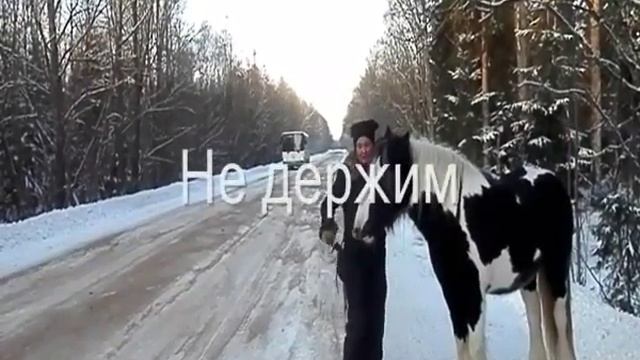 Тинкер Лошадь в доме смотреть онлайн