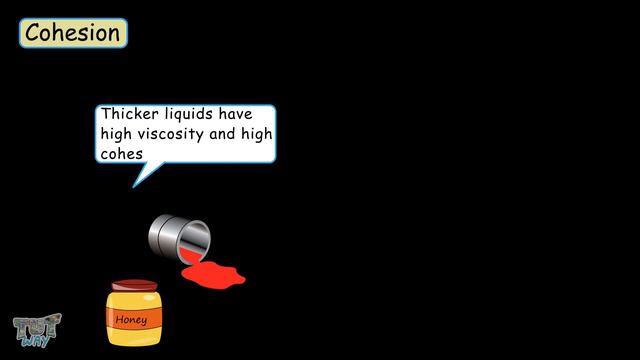 Fluids-Part-2 |Flow Rate| Cohesion |Adhesion | Surface Tension| SCIENCE | Grade-7,8|Tutway | смотреть онлайн
