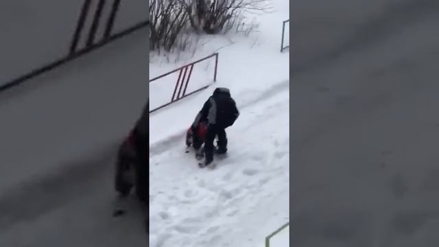 Когда твой хозяин настоящий друг! смотреть онлайн