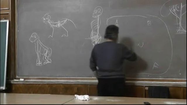 17 Замкнутый круг (таз и интеллект)