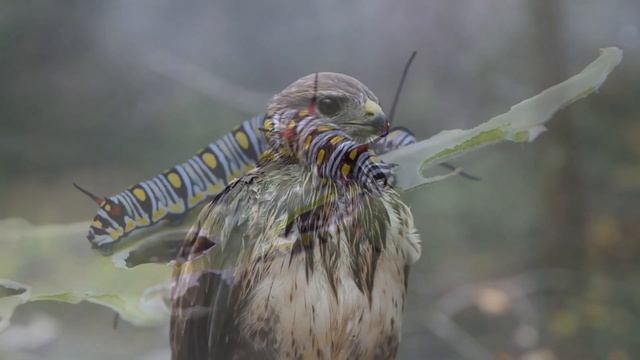 УЛЬТРАРАССЛАБЛЯЮЩАЯ МУЗЫКА, чтобы успокоить разум, перестать думать | Музыка для сна, души и тела