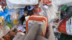 Как я зарабатываю лазая по мусоркам Питера ? Dumpster Diving RUSSIA #8