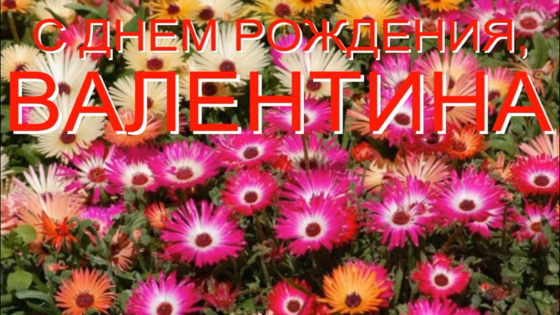ВАЛЕНТИНА, С ДНЕМ РОЖДЕНИЯ смотреть онлайн