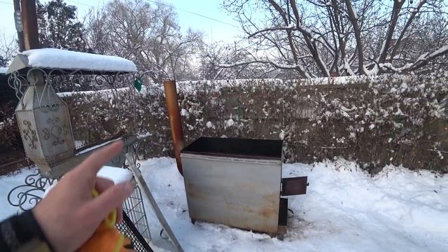 Домашняя коктальница смотреть онлайн