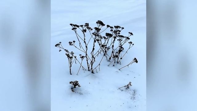 Выходные в Карелии. Горный парк Рускеала, водопады, мороз и солнце!!! смотреть онлайн