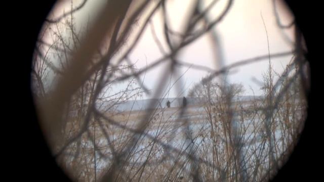 село Безголосово местные психи на поляне смотреть онлайн