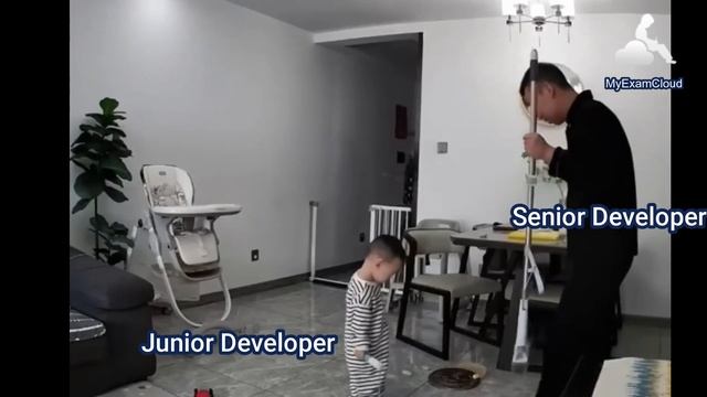 Senior Developer Vs Manager funny meme смотреть онлайн