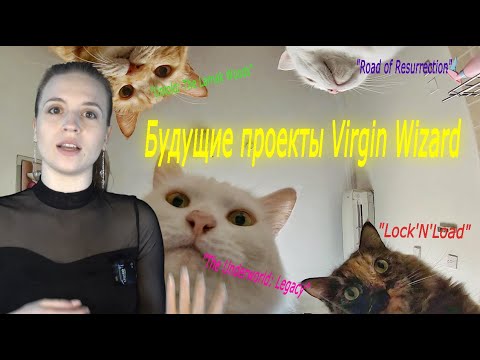 Будущие проекты студии Virgin Wizard