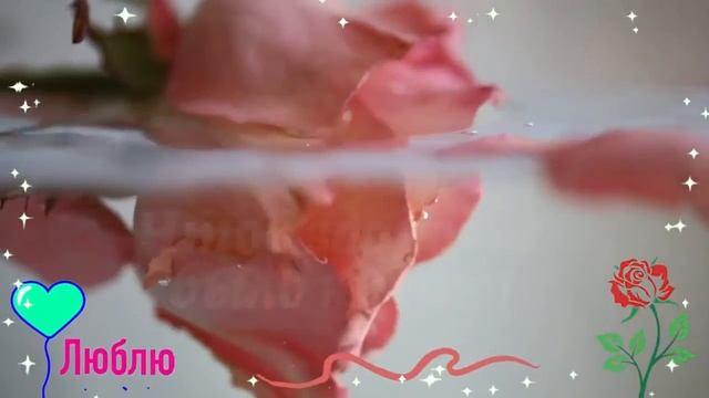 Красивые поздравления с днем рождения женщине смотреть онлайн